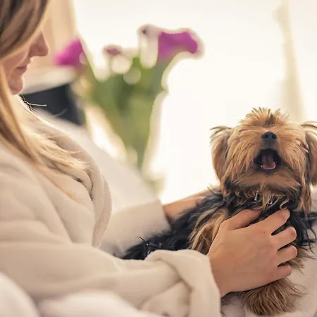 Mercure Brant 4* Wiązowna